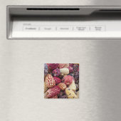 Aimant de maïs coloré (In Situ (Lave-vaisselle))