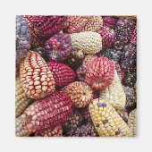 Aimant de maïs coloré (Devant)