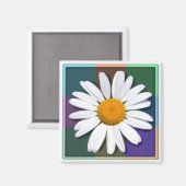 Aimant de marguerite (Recto/Verso)