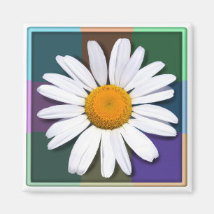 Aimant de marguerite