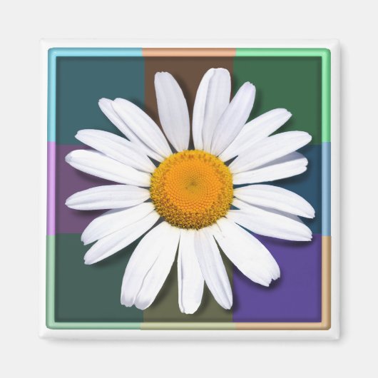 Aimant de marguerite (Devant)
