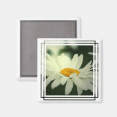 Aimant de marguerite (Recto/Verso)