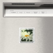 Aimant de marguerite (In Situ (Lave-vaisselle))