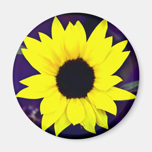 Aimant de marguerite (Devant)