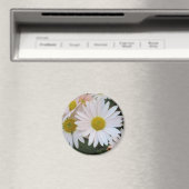 Aimant de marguerite (In Situ (Lave-vaisselle))