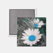 Aimant de marguerite blanche (avec turquoise) (Recto/Verso)