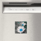 Aimant de marguerite blanche (avec turquoise) (In Situ (Lave-vaisselle))