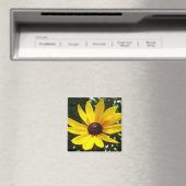 Aimant de marguerite jaune (In Situ (Lave-vaisselle))