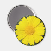 Aimant de marguerite jaune (Recto/Verso)