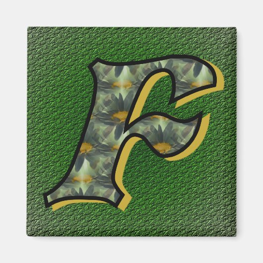 Aimant de marmites noires (Devant)