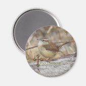 Aimant de méditation Carolina Wren (Recto/Verso)