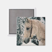 Aimant de mélange arabe (Recto/Verso)