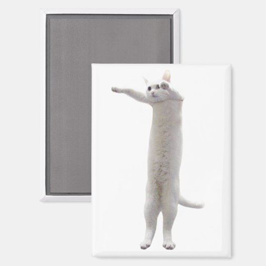 Aimant de mème de chat long (Recto/Verso)