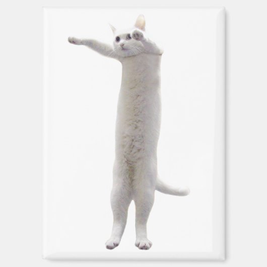 Aimant de mème de chat long (Recto)