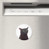 Aimant de mème de chat Zoned Out (In Situ (Lave-vaisselle))