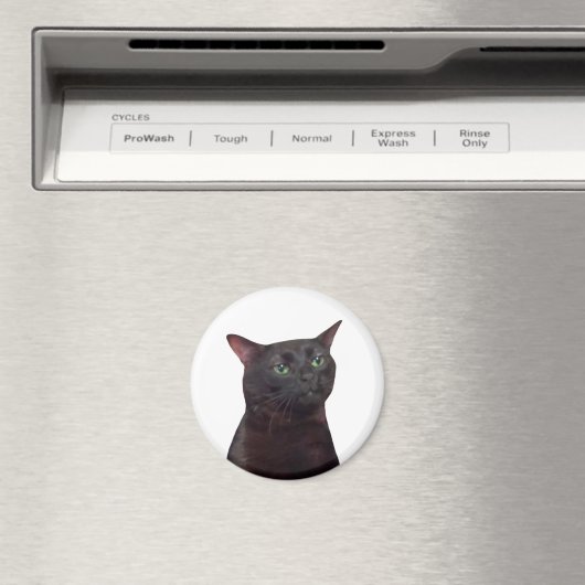 Aimant de mème de chat Zoned Out (In Situ (Lave-vaisselle))