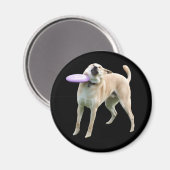 Aimant de mème de chien de Frisbee (Recto/Verso)