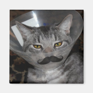 aimant de mewler de ferris