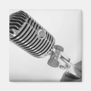 Aimant de microphone