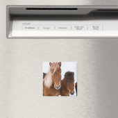 Aimant De mignons chevaux islandais ensemble (In Situ (Lave-vaisselle))