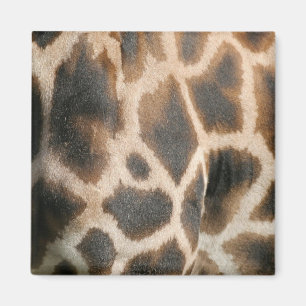 Aimant de motif d'impression de girafe