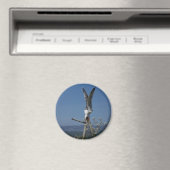 Aimant de mouette (In Situ (Lave-vaisselle))