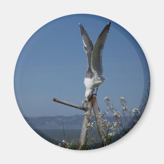 Aimant de mouette (Devant)