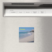 Aimant de Nassau (In Situ (Lave-vaisselle))