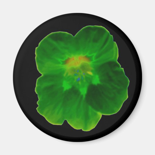 Aimant de Nasturtium vert (Devant)