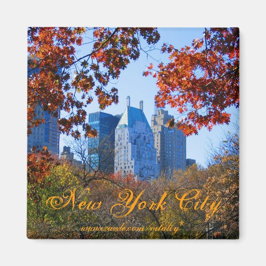 Aimant de New York (Devant)