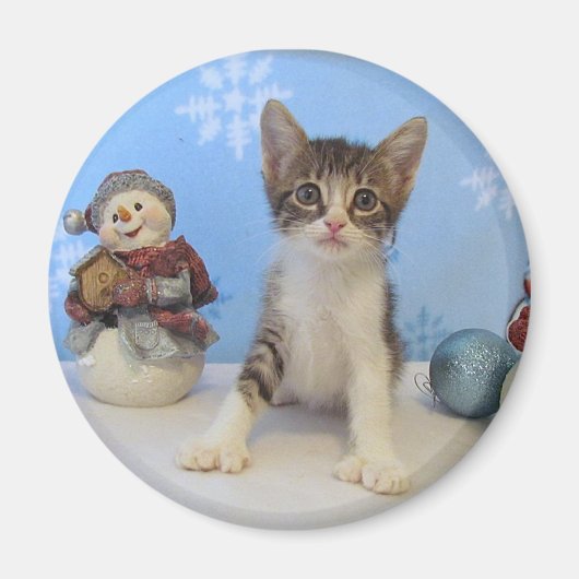 Aimant de Noël - Chat / Chaton (Devant)