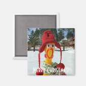 Aimant de Noël poulet adorable ! (Recto/Verso)