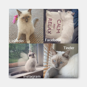 Aimant De nombreux visages d'un chat Ragdoll