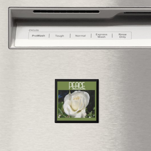 aimant de paix (In Situ (Lave-vaisselle))