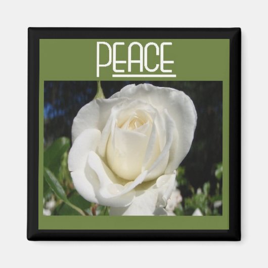 aimant de paix (Devant)