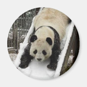 aimant de panda