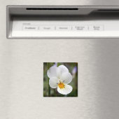 Aimant de Pansy sauvage (In Situ (Lave-vaisselle))