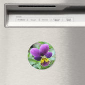 Aimant de Pansy sauvage (In Situ (Lave-vaisselle))