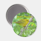Aimant de Paruline jaune (Mellow) (Recto/Verso)