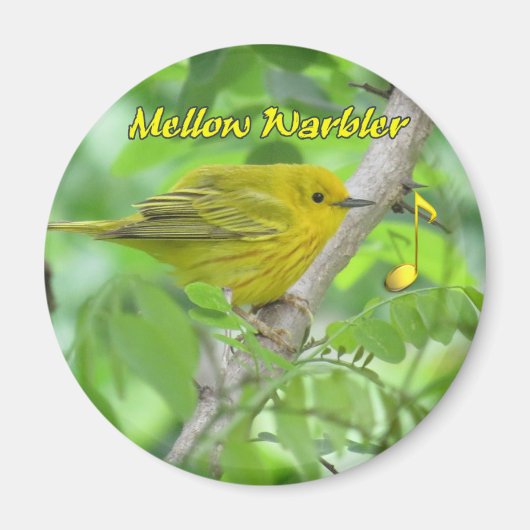 Aimant de Paruline jaune (Mellow) (Devant)