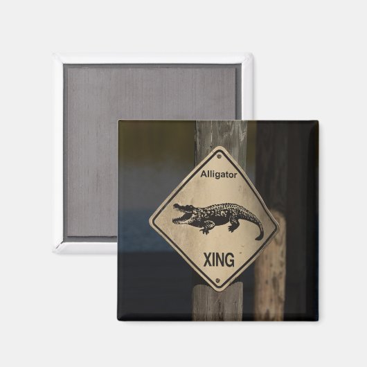 Aimant de passage d'alligator (Recto/Verso)