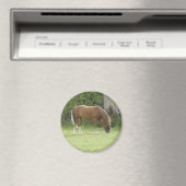 Aimant de pâturage de Cheval Brown de châtaignes (In Situ (Lave-vaisselle))
