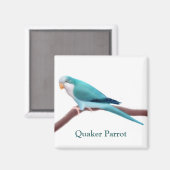 Aimant de perroquet bleu Quaker (Recto/Verso)