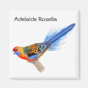 Aimant de perroquet d'Adelaïde Rosella