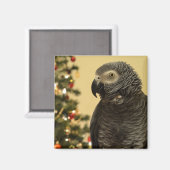 Aimant de perroquet de Noël (Recto/Verso)