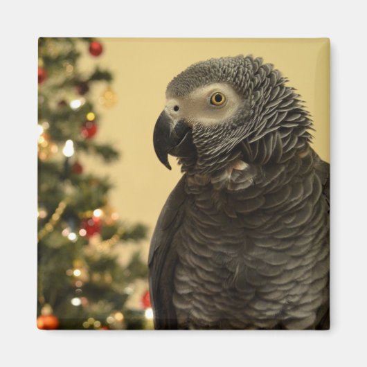 Aimant de perroquet de Noël (Devant)