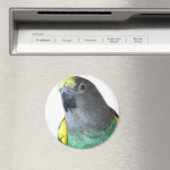 Aimant de perroquet Meyers (In Situ (Lave-vaisselle))