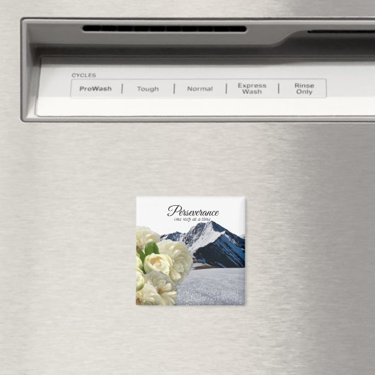 Aimant de persévérance (In Situ (Lave-vaisselle))