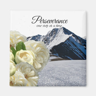 Aimant de persévérance