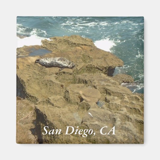 Aimant de phoque à bronzage San Diego (Devant)